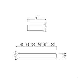 AMI PATENTBOUT M5X80 RVS