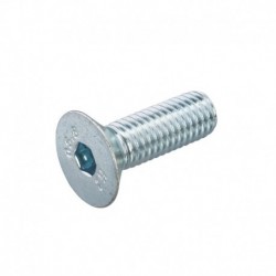 Inbusbout Pk M6x20mm Staal...