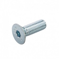 Inbusbout Pk M10x30mm Staal...