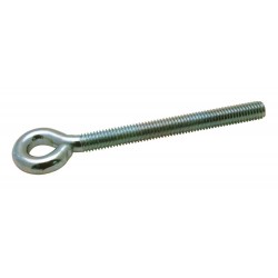 Schroefoog M8X30X10mm RVS...