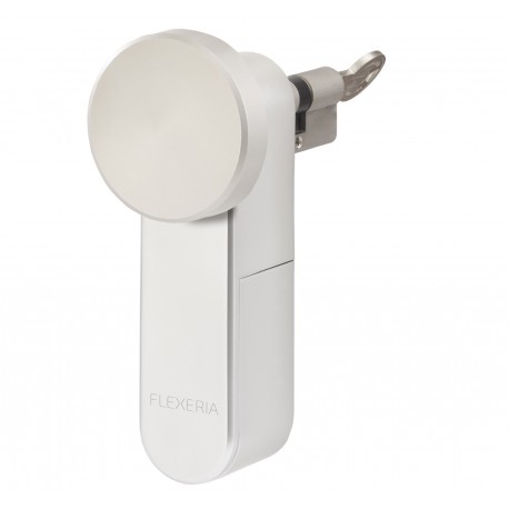 Extra grote knop voor Flexeria motorcilinder Extra grote knop voor Flexeria motorcilinder