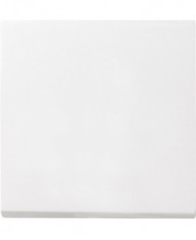 Gira wip 029603 enkel inb wit