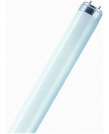 Osram tl-buis 18w 590mm...