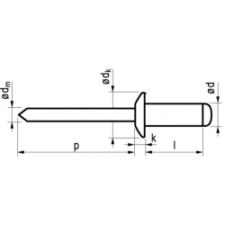 Popnagel Alu/Stl 1031 2