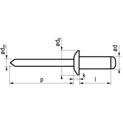 Popnagel Stl/Stl 1041 4X12Mm 500