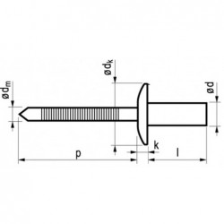 Popnagel Rvs/Rvs 1261 Dicht 3