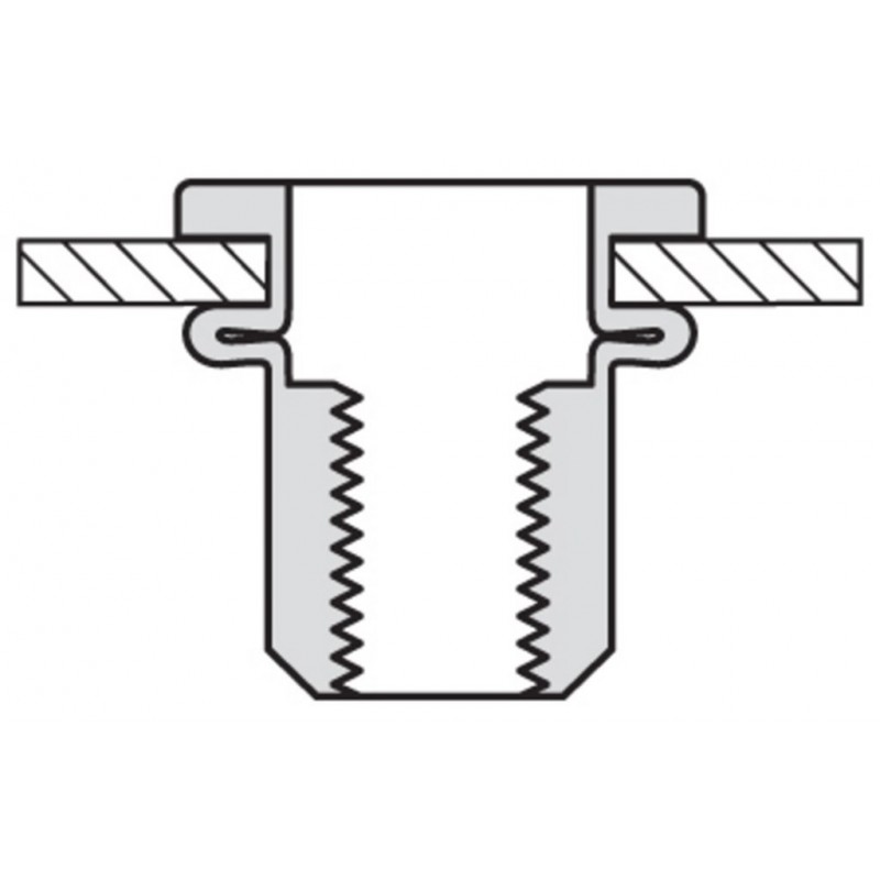 Popmoer Rvs 24-Co M6X14