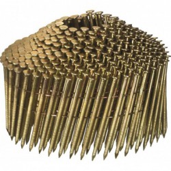 Max Spoelnagel 3