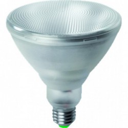 Spaarlamp Par38 15