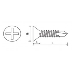 Boorschroef Din7504 Pk 2