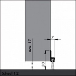 Dorpelstrip Ibs-31-Borstel 250Cm