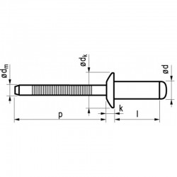 Popnagel Rvs/Rvs 1051 4,8X25Mm 250