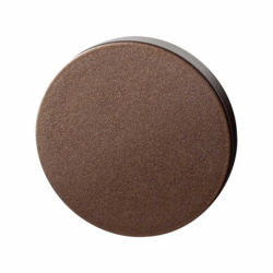 Blinde ronde rozet 50x6 mm...