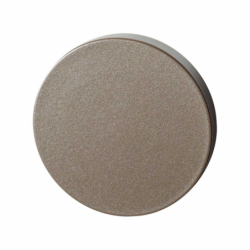 Blinde ronde rozet 50x6 mm...