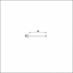 Patentbout M5x65mm RVS