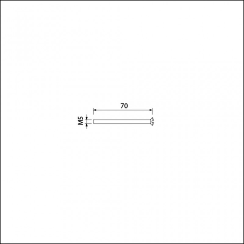 Patentbout M5x70mm RVS