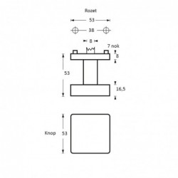 Intersteel Knop vierkant centraal rvs geborsteld