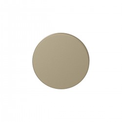 Blinde ronde rozet 53x6,5mm...