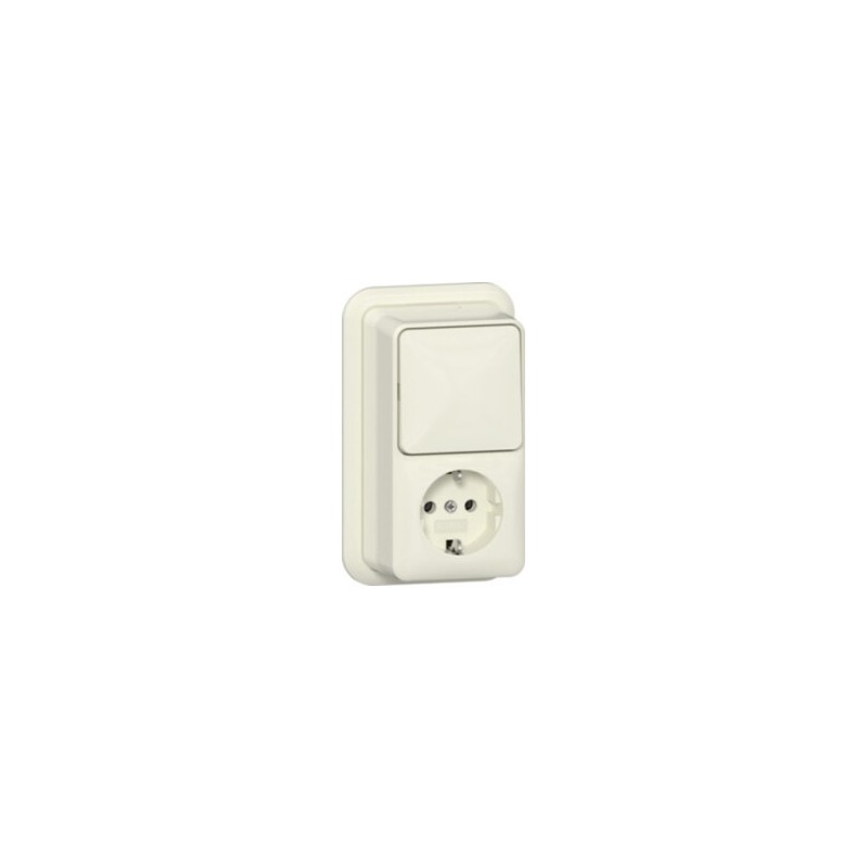 Gira Combinatie Wipschakelaar/Wandcontactdoos Met Randaarde - 16 A - 250 V
