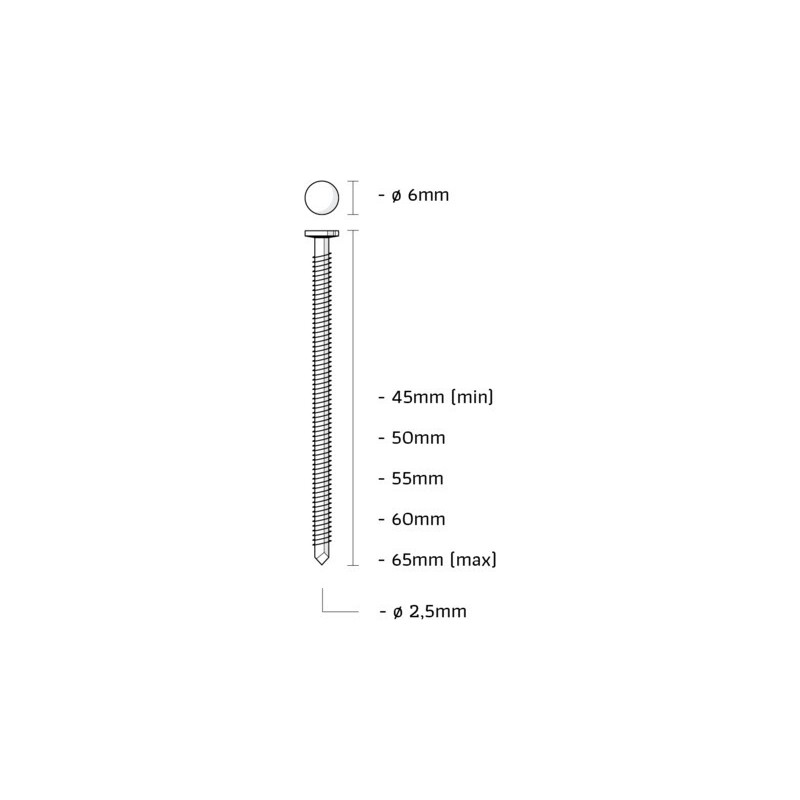 Union Ig-Coilnagel Ig50Arr-Bl-K - 2.5x50mm - Bolkop - 300 Stuks Union Ig-Coilnagel Ig50Arr-Bl-K - 2.5x50mm - Bolkop - 300 Stuks