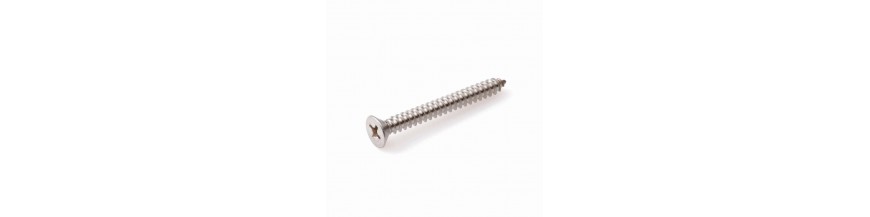 Plaatschroef cilinderkop phillips DIN 7981CH rvs A2
