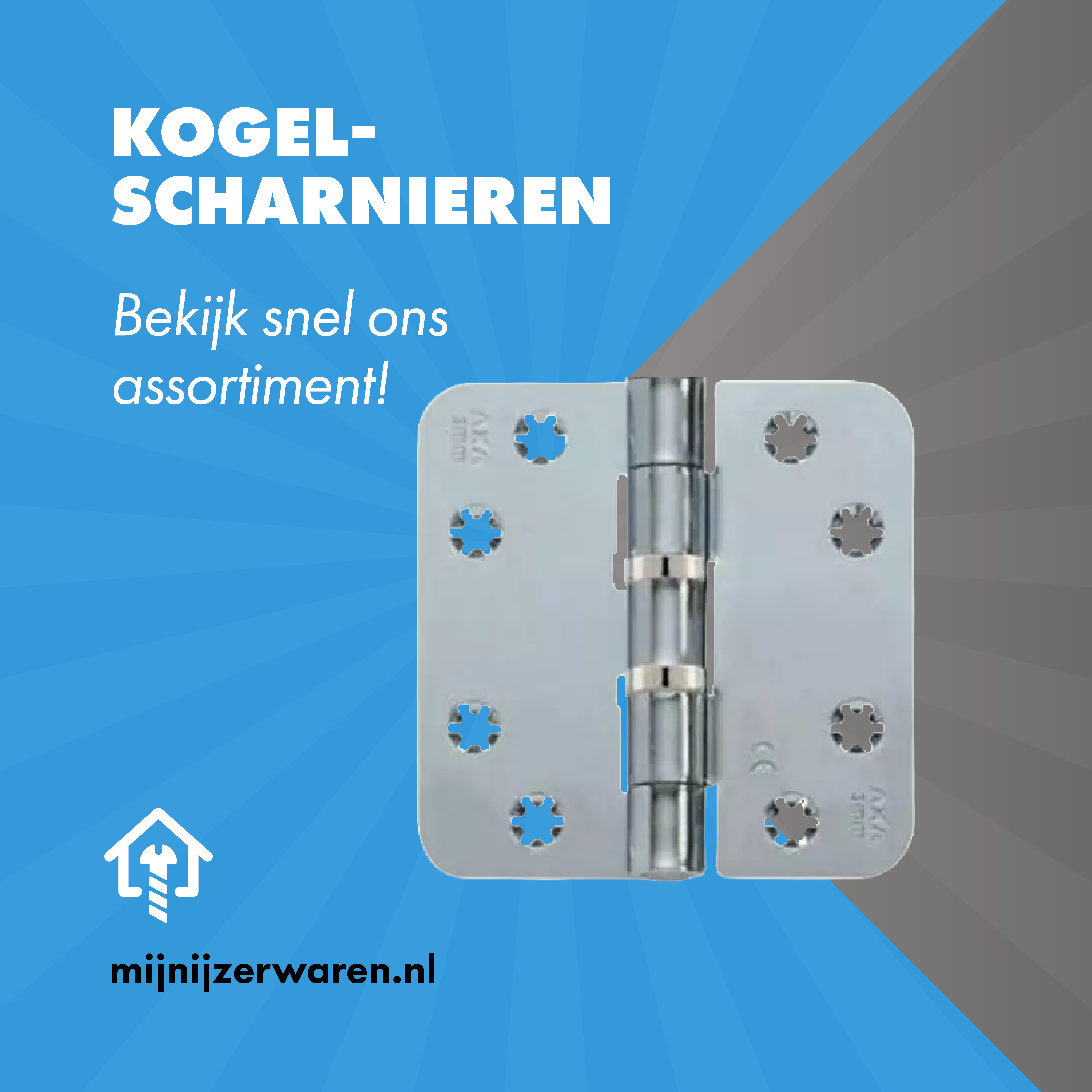 scharnieren kogellager